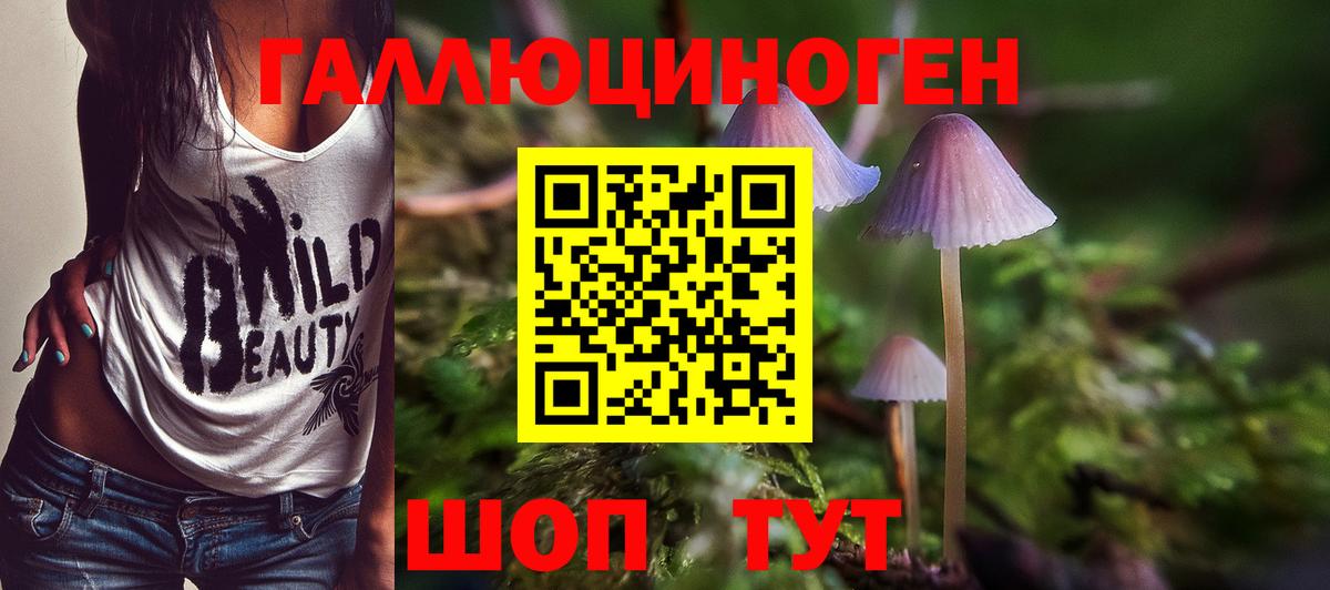 Псилоцибиновые грибы мицелий  Вход с VPN  Азов 